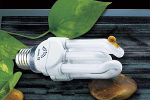 Россия – щедрая душа? Или что мешает стране экономить