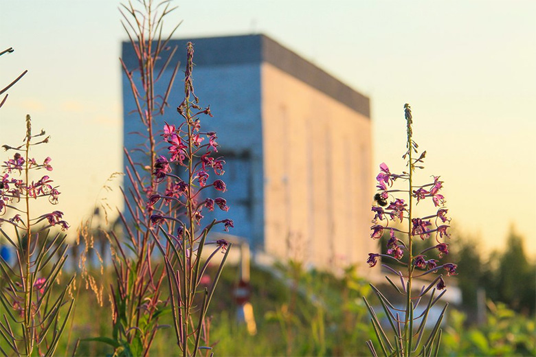 Нефтегазохимия переходит на «зеленую» электроэнергию 