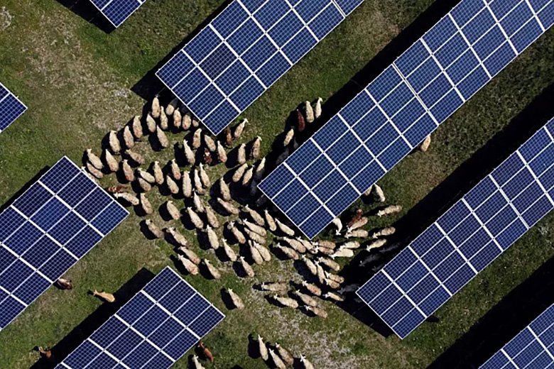 Агровольтаика: распространять нельзя запретить