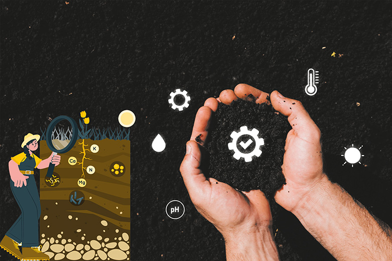 Рекультивация: в поисках новых методов и технологий