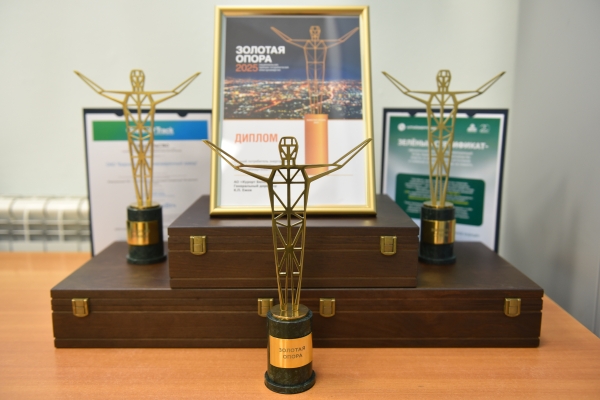 Горно‑Алтайский аэропорт получил первую зелёную электроэнергию