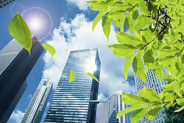 Россия взяла курс на «зеленую» экономику