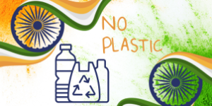 Ресурс вместо проблемы: как Индия превращает пластиковый кризис в миллиардные возможности