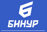 БИНУР 