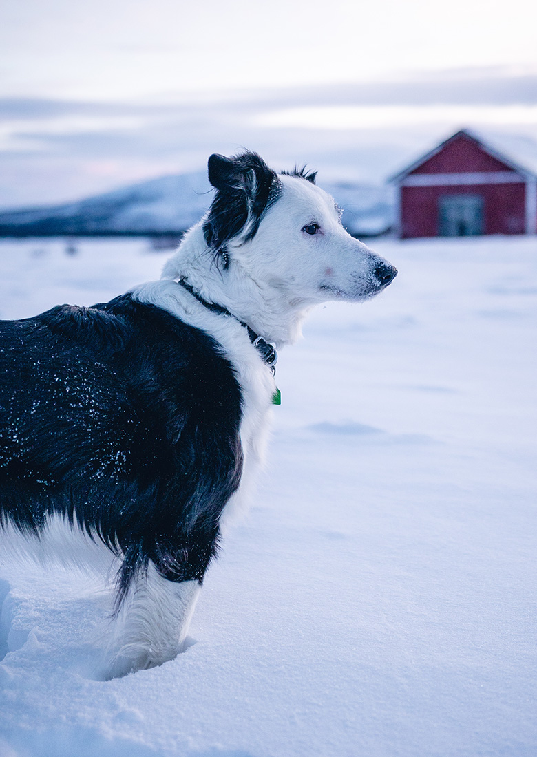 Photo by @wirestock/ freepik.com