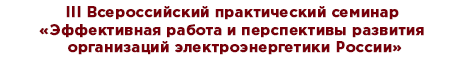Эффективная работа и перспективы развития организаций электроэнергетики России 