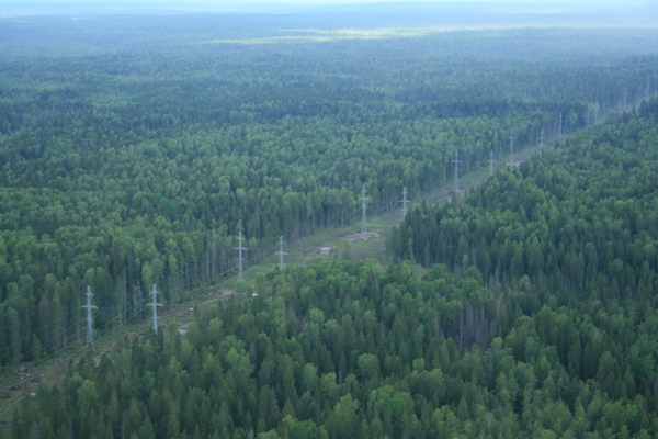 ФСК ЕЭС расчищает трассы северо-западных ЛЭП 