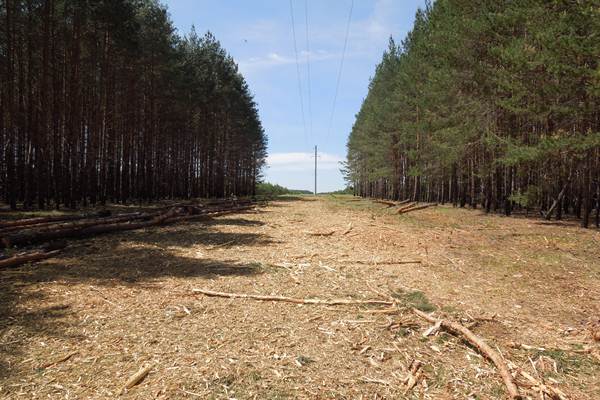 Энергетики МОЭСК расчистили в Новой Москве 130 га просек вдоль ЛЭП