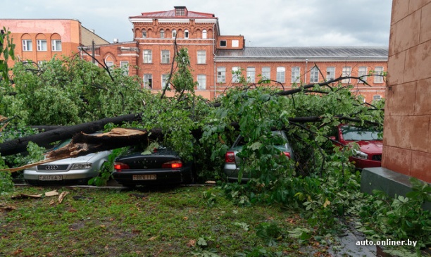 Стихия обесточила более 450 населенных пунктов в Беларуси