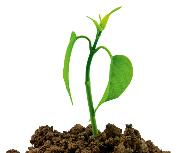 «Зеленые» сертификаты набирают вес