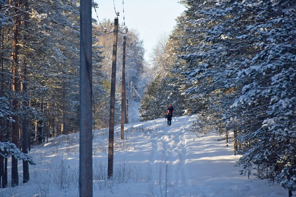 Псковские энергетики повысят надежность электроснабжения двух районов