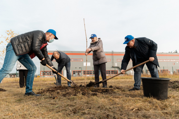 Каштановая аллея в честь восьмидесятилетия завода «Контактор»