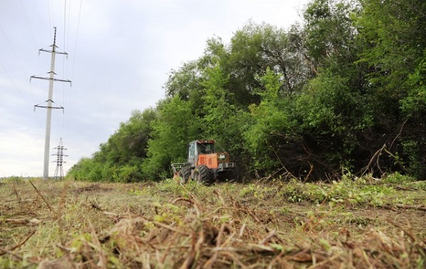 В Пензенской области ведут расчистку трасс воздушных ЛЭП