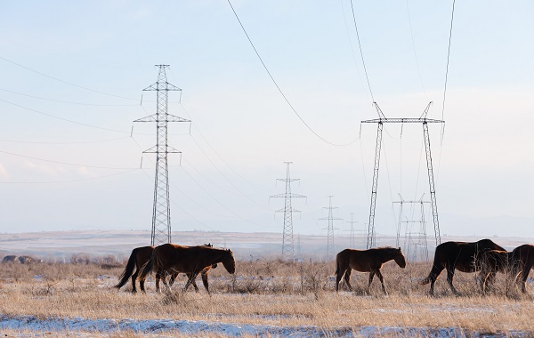 В Хакасии увеличат степень использования пропускной способности электросети на 20%