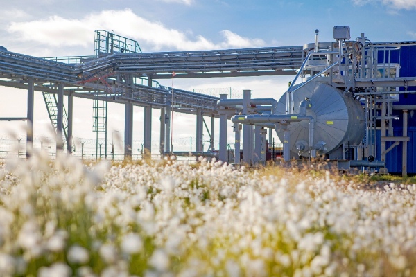 Участок угледобычи в Кемерово отдадут под экопарк  