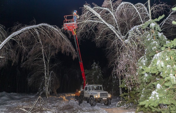 «Россети Янтарь» восстановила 387 км ЛЭП в Калининградской области после сильного снегопада