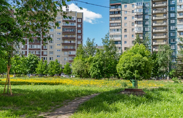 На объектах бюджетной сферы Петербурга реализуется 441 энергосервисный контракт