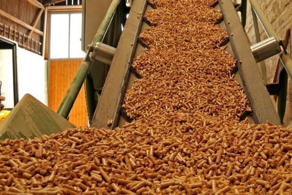 На Дальнем Востоке разовьют пеллетное производство