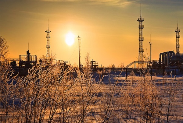 «Тимано-Печорскую газовую компанию» выставили на торги