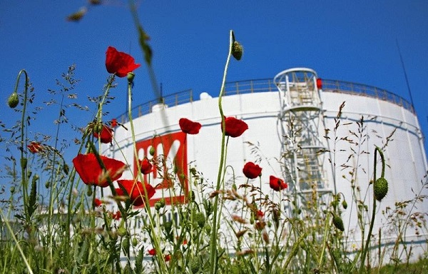 Представлен рейтинг открытости экологической информации нефтегазовых компаний