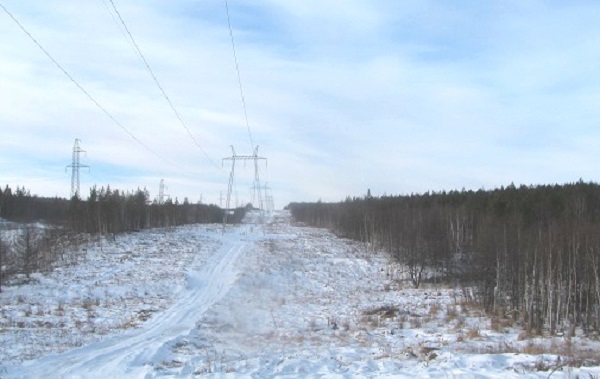 «Россети ФСК ЕЭС» расчистит в ДФО 10,6 тыс. га просек ЛЭП