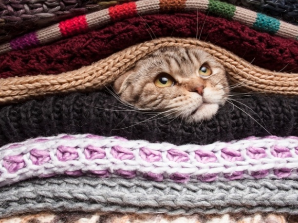 Абакан на несколько часов остался без горячего водоснабжения и отопления