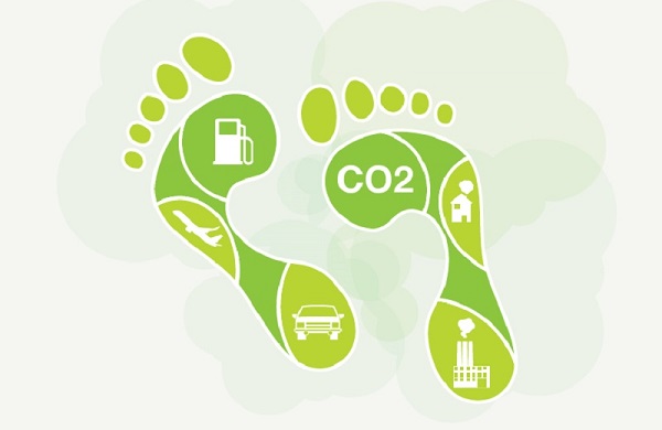 Эксперты выяснили, как улучшить сбор данных о переходе к углеродной нейтральности