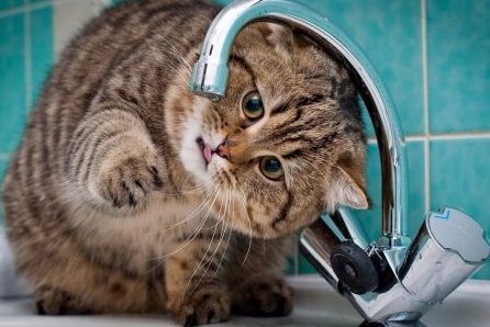 Новокузнецким должникам отключили горячую воду