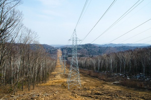 «Калугаэнерго»  увеличило объем работ по расчистке трасс ВЛ