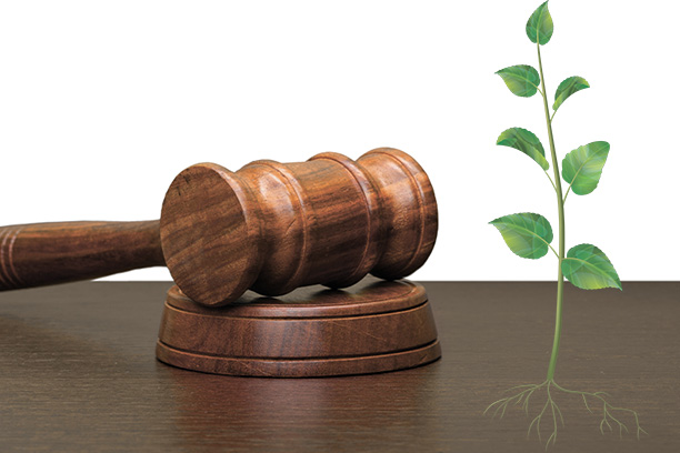 Энергетические экосертификаты обретают закон