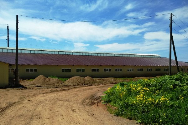 «Удмуртэнерго» подключило к электросетям производство молока и ферму