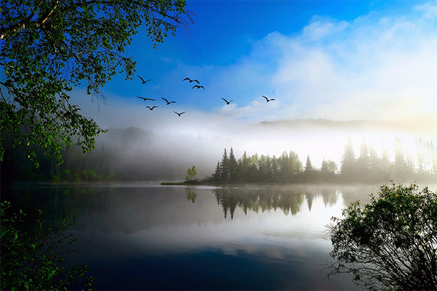 Инвестиции в будущее