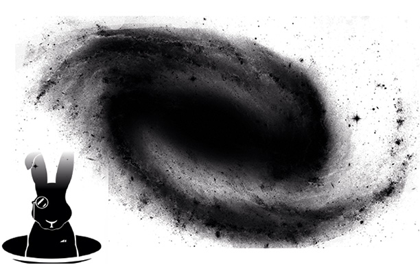 Как глубоко уходит кроличья нора? 