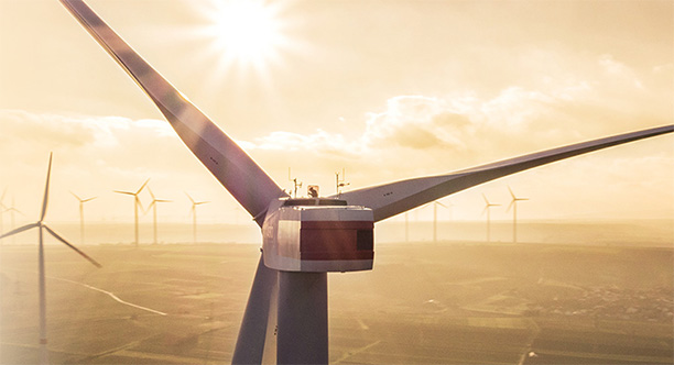 Построил ветропарк – продлил жизнь