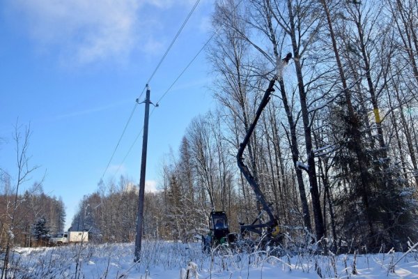В Псковской области энергетики расчистили 2,5 тыс. угрожающих падением на ЛЭП деревьев 