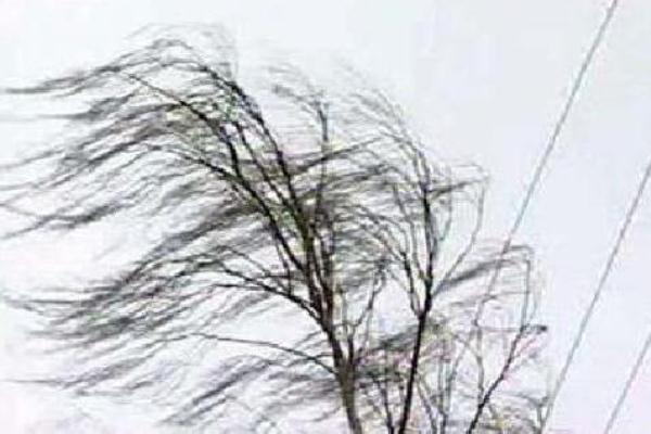 Иркутские энергетики устраняют последствия штормового ветра