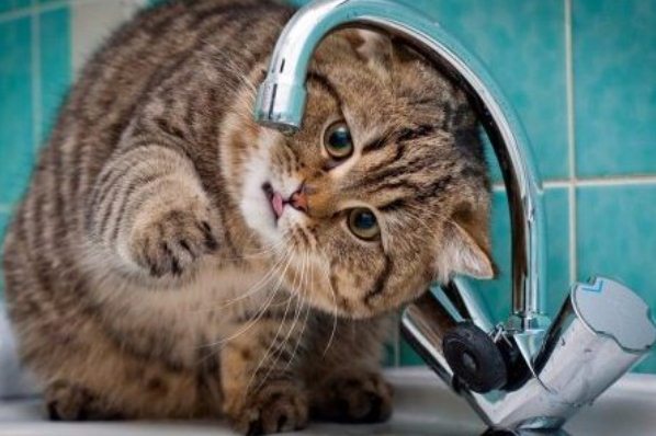 Подача воды в северной части Махачкалы будет ограничена