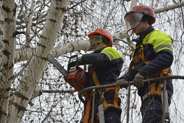 Специалисты «Севкавказэнерго» расчистили более 35,8 га трасс ЛЭП