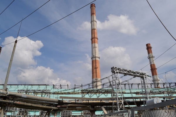 «Квадра» обспечила тамбовских уток домиками