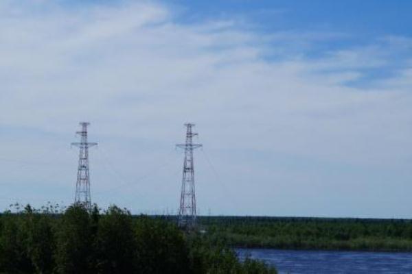 Около 1,5 тыс поваленных ураганом деревьев сняли с проводов в Подмосковье