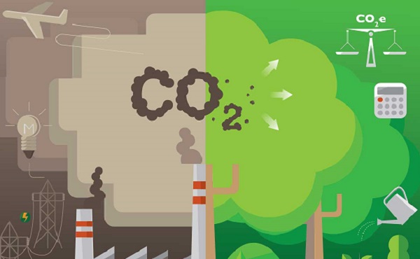 Углеродная нейтральность на Сахалине обрела силу закона