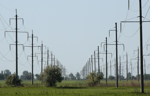 «Россети Юг» в 2022 году вложила 33,7 млн рублей в экологическую безопасность