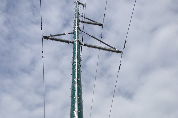 «Янтарьэнерго» установило первую в Калининградской области композитную опору