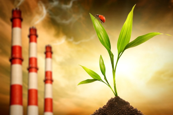 На Выборгской ТЭЦ «ТГК-1» запущена система экомониторинга