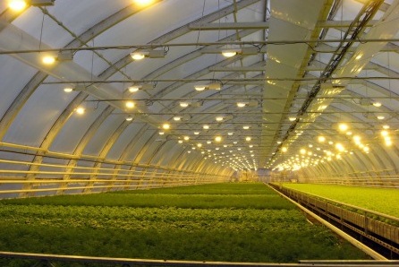 «Смоленскэнерго» обеспечило сельхозпредприятиям региона 3,26 МВт мощности