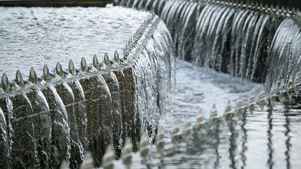 Сохранение природы начинается с учета