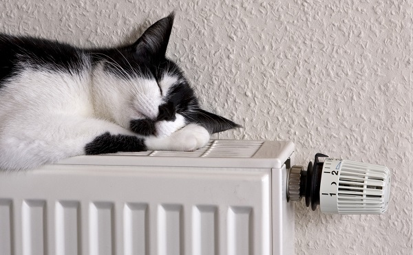 В столичных квартирах станет теплее