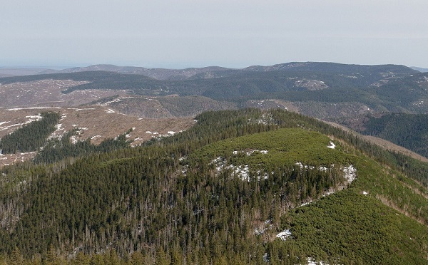 Как получить «Дальневосточный гектар»
