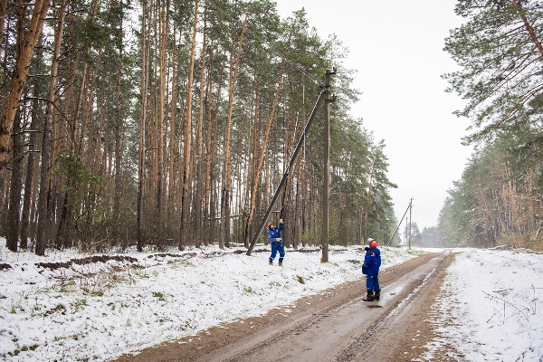 Партизанские сети переживают сложные времена 