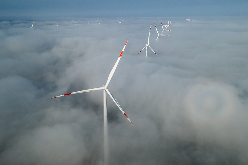 Подтвердить зеленый статус